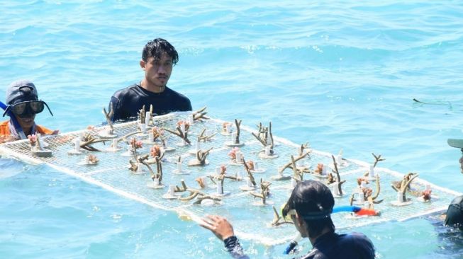 Berbagai Upaya Bersama Jaga Kelestarian Ekologi di Kepulauan Seribu