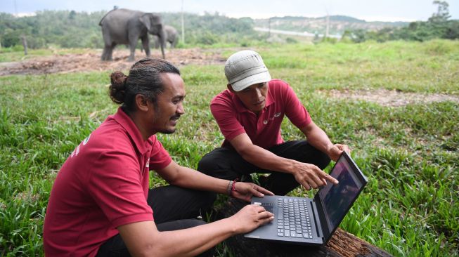 Petugas memantau pergerakan kawanan gajah liar yag telah diberikan GPS collar dari laptop di Pusat Konservasi Gajah Minas, Riau, Kamis (18/8/2022). [ANTARA FOTO/Akbar Nugroho Gumay/rwa]