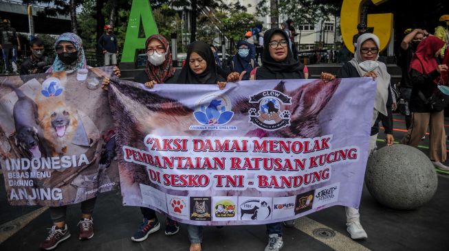 Anggota komunitas Animals Hope Shelter dan Cat Lovers In The World melakukan aksi damai di Cikapayang, Bandung, Jawa Barat, Minggu (21/8/2022).  ANTARA FOTO/Raisan Al Farisi
