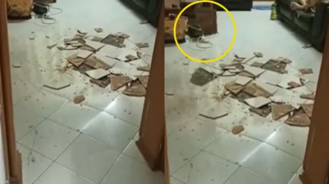 Keramik Rumah Tiba-tiba Meledak, Aksi Tenang Dua Penghuni Bikin Geleng Kepala