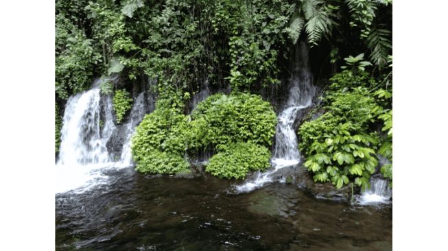 Air Terjun Sumber Pitu, Pesona Keindahan Alam Tersembunyi di Desa Tumpang