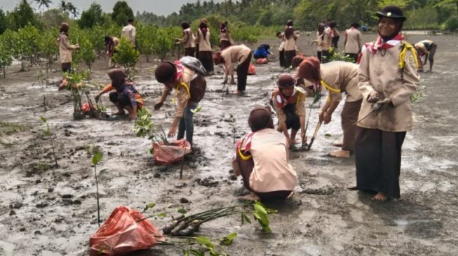 Implementasikan Dasa Darma, Anggota Pramuka Tanam Mangrove Di Pantai