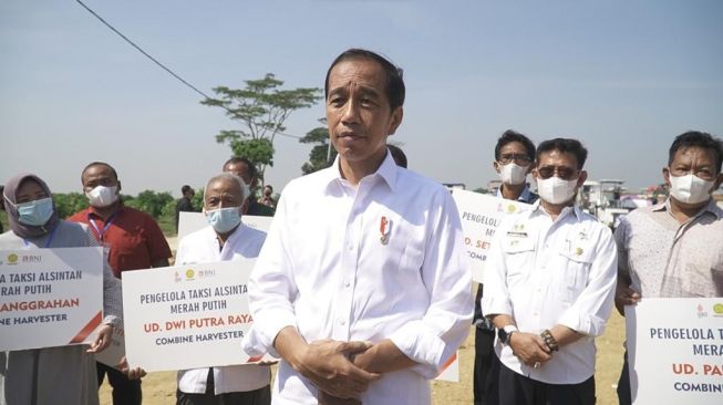 Jokowi Luncurkan Food Estate Berbasis Mangga dan Taksi Alsintan di Kabupaten Gresik