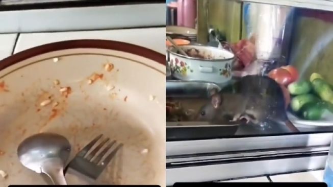 Makan Ludes Tak Tersisa di Warteg, Pelanggan ini Baru Sadar Ada Tikus 'Ngemil' Lauk Depan Mata, Publik: Langsung Muntah