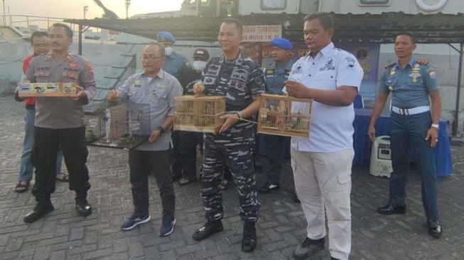 Aparat Pangkalan Angkatan Laut Semarang Gagalkan Penyelundupan Puluhan Burung Dilindungi