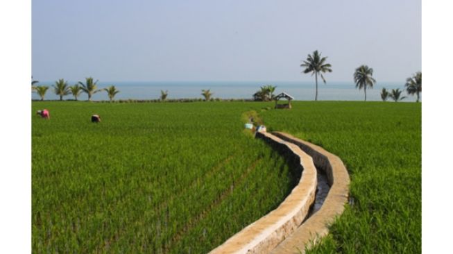 75 Unit Pompanisasi untuk Petani Agam, Mampu Atasi Krisis Air 960 Hektare Sawah Masyarakat?