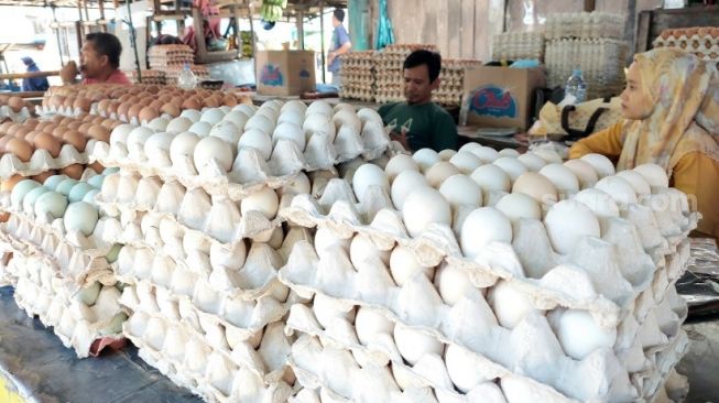 Penyebab Harga Telur di Kota Makassar Tembus Rp60 Ribu Per Rak