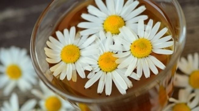 4 Manfaat Chamomile untuk Wajah, Juga dapat Mengurangi Munculnya Kerutan!