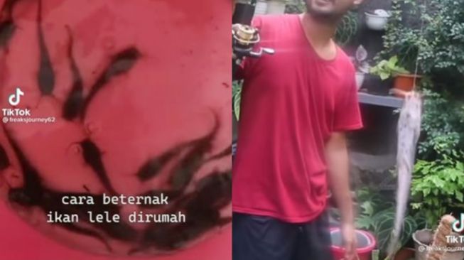 Pria Ini Bagikan Tutorial Ternak Ikan Lele Anti Mainstream, Bikin Warganet Geli