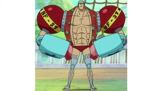 Franky, One Piece. [Onepiece.fandom]