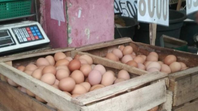 Harga Telur Ayam di Kabupaten Naik, Termasuk Pangan Lainnya?