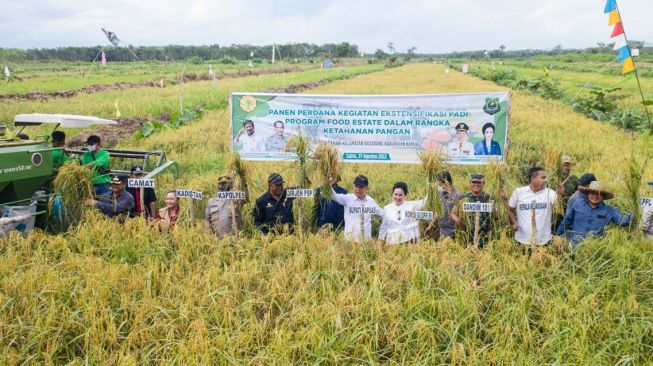 Kementan: Pemerintah Tingkatkan Pengelolaan Lahan untuk Kesejahteraan Petani Melalui Ekstensifikasi Food Estate