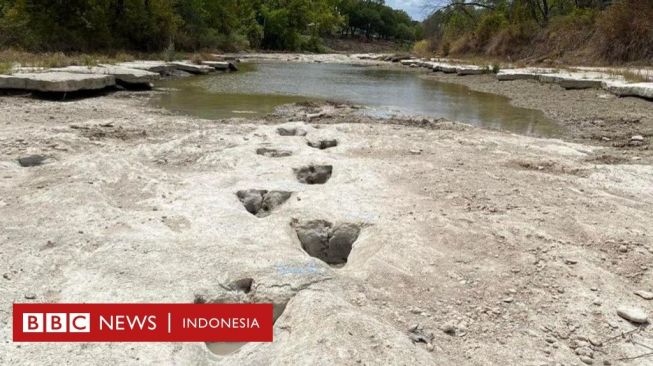 Cuaca Kering Munculkan Jalur Jejak Kaki Dinosaurus Terpanjang di Dunia