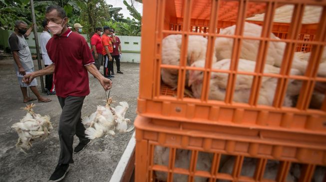 Warga membawa ayam yang dibagikan gratis oleh peternak Perhimpunan Insan Perunggasan Rakyat (Pinsar) Jawa Tengah pada kegiatan Baksos Ayam Broiler Gratis di Desa Bolon, Colomadu, Karanganyar, Jawa Tengah, Minggu (28/8/2022). ANTARA FOTO/Mohammad Ayudha
