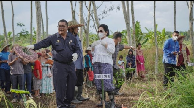 Sukses Garap Lahan Tidur Jadi Lahan Subur, DPR Apresiasi Program Ekstensifikasi Kementan