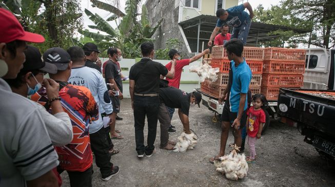 Peternak Perhimpunan Insan Perunggasan Rakyat (Pinsar) Jawa Tengah membagikan ayam gratis kepada warga pada kegiatan Baksos Ayam Broiler Gratis di Desa Bolon, Colomadu, Karanganyar, Jawa Tengah, Minggu (28/8/2022). ANTARA FOTO/Mohammad Ayudha
