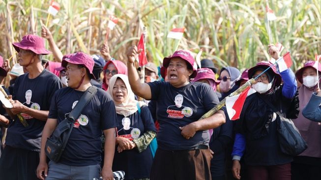 13 Ribu Petani Tebu Majalengka Berharap Tak Ada Lagi Impor Gula