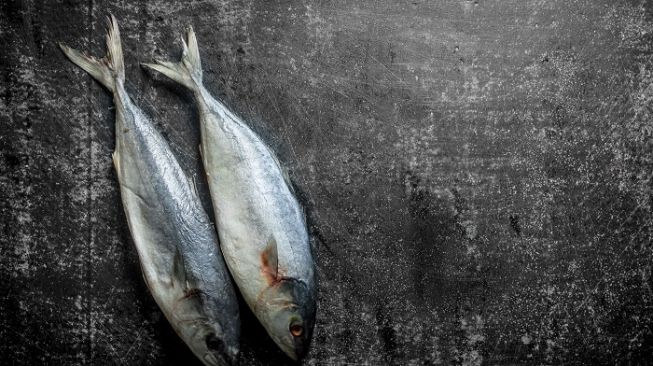 7 Manfaat Ikan Cakalang Mulai Dari Kinerja Otak Hingga Makanan Diet 