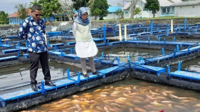 Realisasi Produksi Ikan di Pasaman Barat Capai 77.833 Ton