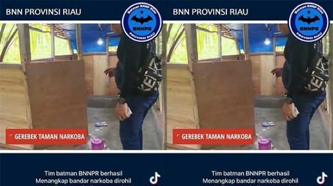 Penggerebekan 'Taman Narkoba' di Tengah Kebun Sawit Rokan Hilir, Videonya Viral