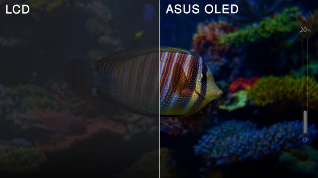 Perbedaan LCD dan Asus Oled.