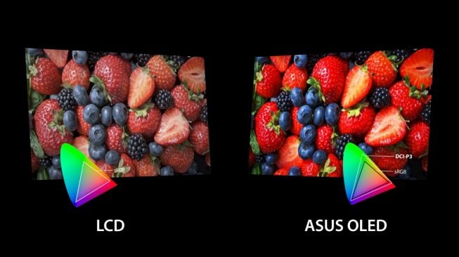 Perbedaan LCD dan Asus Oled.