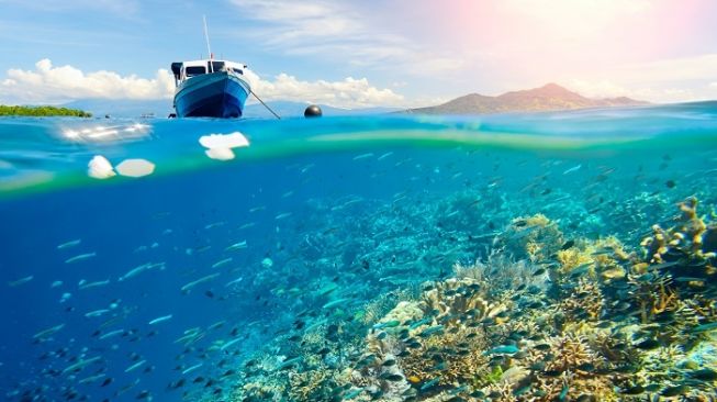 Bunaken. (Shutterstock)