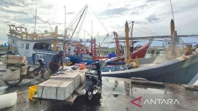 Hasil Tangkapan Ikan Nelayan di Aceh Timur Menurun Gegara Cuaca Buruk. [Antara]