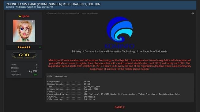 Bocor! 1,3 Miliar Data Registrasi Kartu SIM Indonesia Diduga Dijual, Warganet Mencak-mencak ke Kominfo