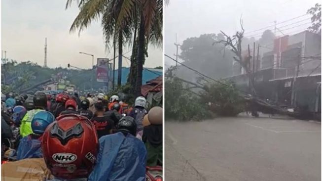 Pohon tumbang di Jalan Raya Sukabumi-Bogor, Kabupaten Bogor mengakibatkan Jalan Raya Bogor-Sukabumi mengalami kemacetan parah, Jumat, 2 September 2022 [Tangkapan layar video. Ist/Bogordaily.net]