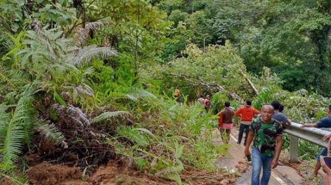 Cuaca Buruk Sebabkan Pohon Tumbang-Longsor di Padang, Warga Diminta Waspada