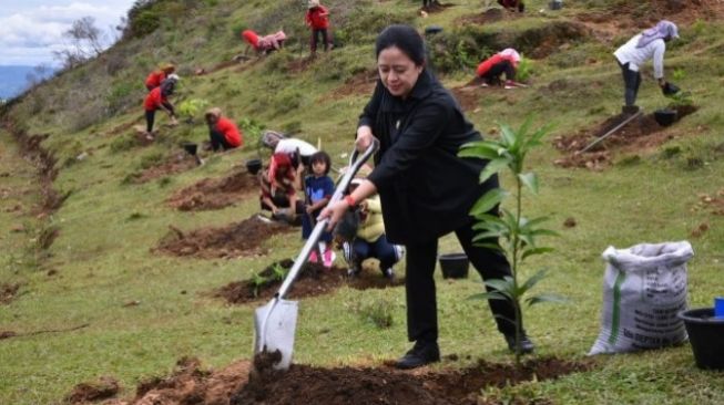 Ikuti Penghijauan di Toba, Puan Upayakan Infrastruktur Pembuatan Pupuk Organik