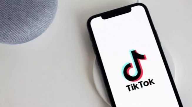 Cara Download Video TikTok Pakai SSSTikTok MP4 Tanpa Watermark