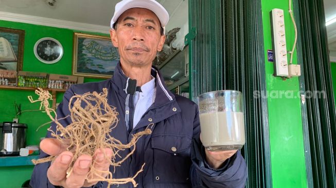 Mengenal Purwaceng, Tanaman yang Diolah Menjadi Minuman Khas Dieng Banjarnegara