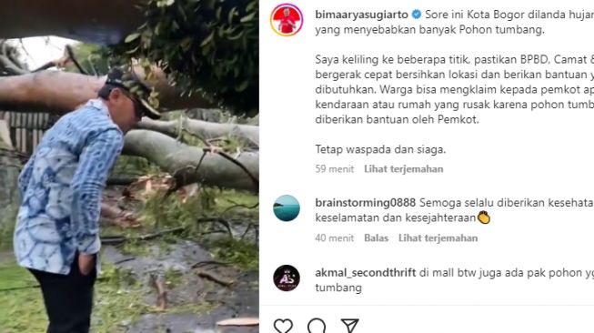 Diterjang Hujan Badai, Ini Penampakan Pohon Besar Tumbang Timpa Motor dan Rumah di Bogor, Bima Arya: Tetap Waspada