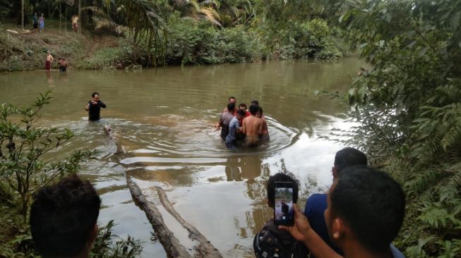 Mengerikan, Wanita di Madina Tewas Diterkam Buaya Saat Cuci Piring di Sungai