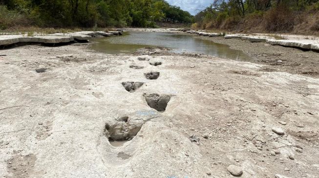 Kekeringan Ungkap Jejak Kaki Dinosaurus Berumur 113 Juta Tahun di Texas