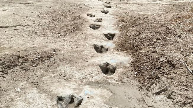 Penampakan lintasan jejak kaki dinosaurus yang ditemukan di Dinosaur Valley State Park, Negara Bagian Texas, Amerika Serikat, Selasa (23/8/2022). [Handout / Dinosaur Valley State Park / AFP]