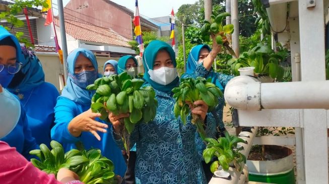 Tren Bertani di Lahan Terbatas ala Urban Farming