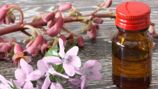 Bach Flower Remedies: Terapi Bunga yang Bisa Atasi Sakit secara Psikologis