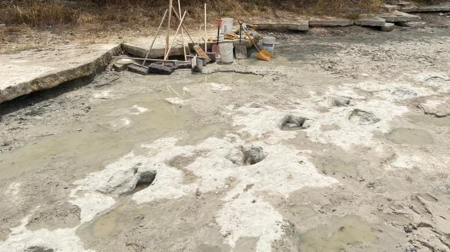 Penampakan lintasan jejak kaki dinosaurus yang ditemukan di Dinosaur Valley State Park, Negara Bagian Texas, Amerika Serikat, Selasa (23/8/2022). [Handout / Dinosaur Valley State Park / AFP]