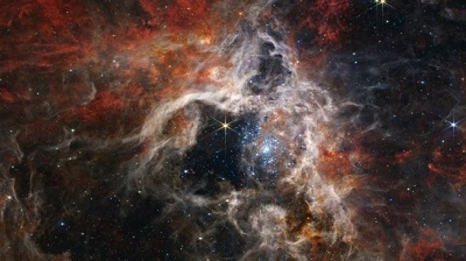 Tarantula Luar Angkasa Raksasa Ditangkap Teleskop Webb NASA