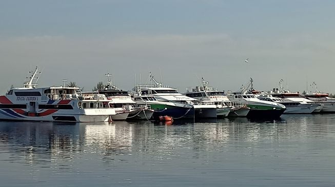 Ongkos Transportasi Antar Pulau di Kepri Diperkirakan Naik, Pemprov Terima Usulan Operator Kapal