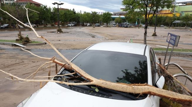 Sebuah mobil tertimpa pohon tumbang akibat Topan Hinnamnor di Pohang, Korea Selatan, Selasa (6/9/2022). [YONHAP/AFP]
