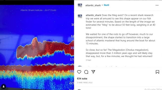 Postingan diduga penemuan Megalodon. [Instagram]