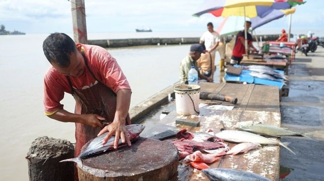 Harga Ikan Naik, Pedagang Mahakam Ulu Minta Perhatian Pemerintah
