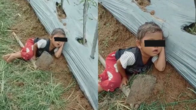 Anak Kecil Dibiarkan Tertidur di Tengah Ladang, Posisi Badan Dekat dengan Cangkul, Publik Geram: Ambil Dulu Itu Cangkul