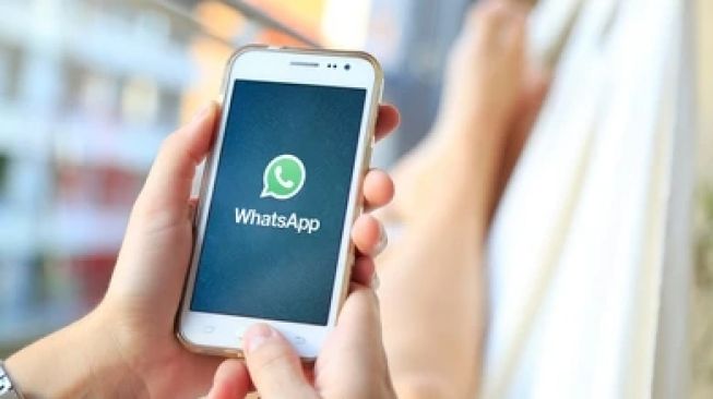 WhatsApp Uji Coba Kemampuan Bikin Polling dalam Chat
