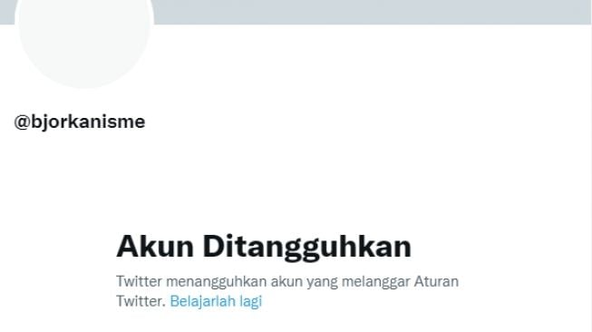 Sebelum Dinonaktifkan, Akun Hacker Bjorka Tulis Ini Untuk Twitter