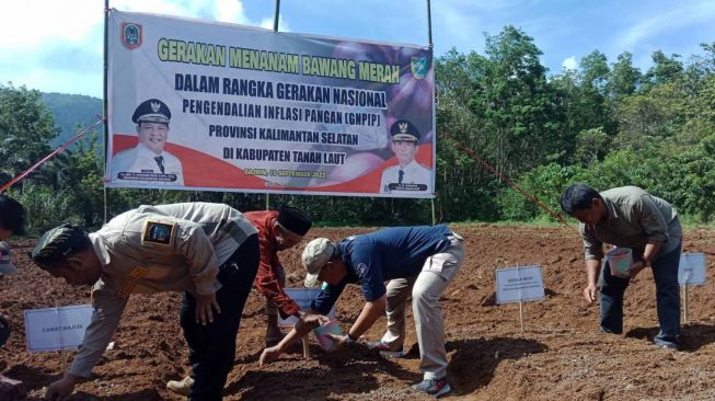 Kendalikan Inflasi Pangan, Desa Sungai Bakar Bertanam Bawang Merah